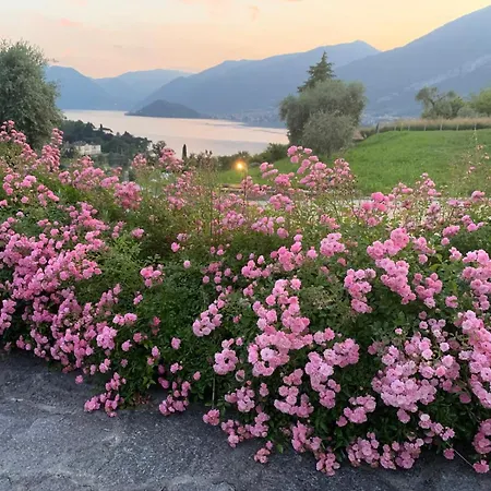 Tatil Evi Casa Aurea